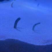 ヒメ日記 2025/05/22 11:19 投稿 桜 久留米デリヘルセンター