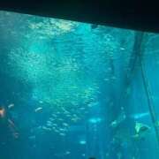 ヒメ日記 2025/05/26 10:16 投稿 桜 久留米デリヘルセンター