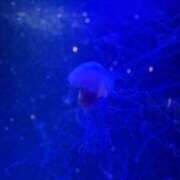 ヒメ日記 2025/07/03 10:48 投稿 桜 久留米デリヘルセンター