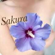 ヒメ日記 2025/12/08 08:06 投稿 桜 久留米デリヘルセンター