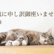 ヒメ日記 2025/12/09 07:16 投稿 桜 久留米デリヘルセンター