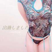 ヒメ日記 2025/12/17 13:06 投稿 桜 久留米デリヘルセンター