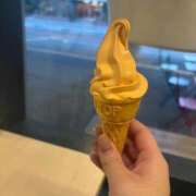 桜 来週の出勤 久留米デリヘルセンター