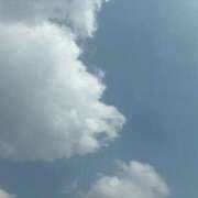 ヒメ日記 2026/01/29 12:36 投稿 桜 久留米デリヘルセンター