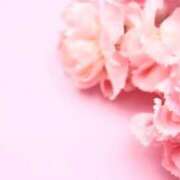 ヒメ日記 2026/03/04 09:56 投稿 桜 久留米デリヘルセンター