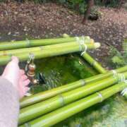 桜 おはよう 久留米デリヘルセンター