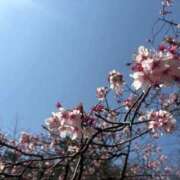 ヒメ日記 2026/06/08 09:06 投稿 桜 久留米デリヘルセンター