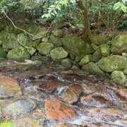ヒメ日記 2026/06/21 07:36 投稿 桜 久留米デリヘルセンター