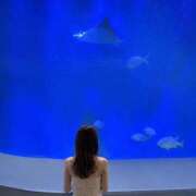 ヒメ日記 2026/08/04 21:24 投稿 桜 久留米デリヘルセンター