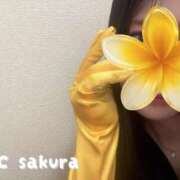 ヒメ日記 2026/08/14 15:36 投稿 桜 久留米デリヘルセンター