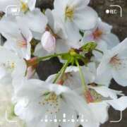 ヒメ日記 2025/04/10 19:38 投稿 宝来　英美里 エンジェルコースト