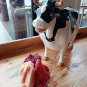 ヒメ日記 2025/05/30 11:53 投稿 宝来　英美里 エンジェルコースト