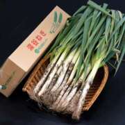 ヒメ日記 2025/08/12 19:23 投稿 宝来　英美里 エンジェルコースト