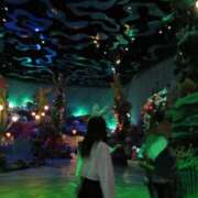 ヒメ日記 2025/05/30 22:45 投稿 うみちゃん 横浜オナクラ 横浜JKプレイ