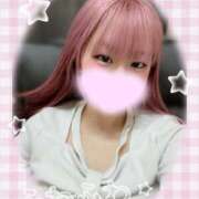 なずな 本指名N様? 横浜シンデレラ（シンデレラグループ）