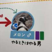 ヒメ日記 2025/04/08 17:11 投稿 もな 品川ミセスアロマ（ユメオト）