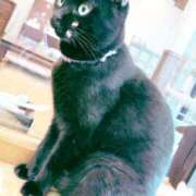 ヒメ日記 2025/04/23 17:31 投稿 もな 品川ミセスアロマ（ユメオト）