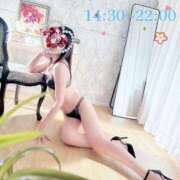 ヒメ日記 2025/05/14 14:57 投稿 なでしこ 池袋人妻城
