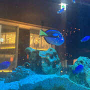 ヒメ日記 2025/05/23 09:01 投稿 つき ドリーム水戸