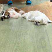 ヒメ日記 2025/08/21 17:50 投稿 つき ドリーム水戸