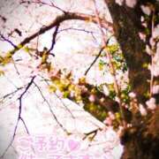 ヒメ日記 2025/04/09 17:40 投稿 佐藤ゆうか 五十路マダム　和歌山店