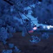 ヒメ日記 2025/04/10 08:02 投稿 佐藤ゆうか 五十路マダム　和歌山店