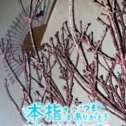 ヒメ日記 2025/05/20 00:10 投稿 佐藤ゆうか 五十路マダム　和歌山店