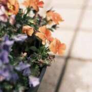 ヒメ日記 2025/05/29 09:10 投稿 佐藤ゆうか 五十路マダム　和歌山店