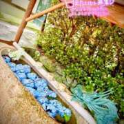 ヒメ日記 2025/06/09 16:48 投稿 佐藤ゆうか 五十路マダム　和歌山店