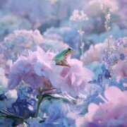 ヒメ日記 2025/06/23 15:10 投稿 佐藤ゆうか 五十路マダム　和歌山店