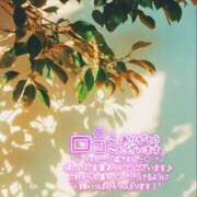 ヒメ日記 2025/07/13 23:56 投稿 佐藤ゆうか 五十路マダム　和歌山店