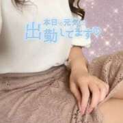 ヒメ日記 2025/07/19 13:30 投稿 佐藤ゆうか 五十路マダム　和歌山店