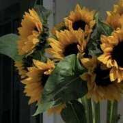 ヒメ日記 2025/07/30 19:56 投稿 佐藤ゆうか 五十路マダム　和歌山店