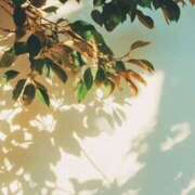 ヒメ日記 2025/09/28 08:58 投稿 佐藤ゆうか 五十路マダム　和歌山店