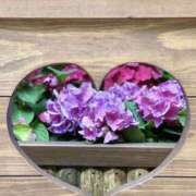 ヒメ日記 2025/10/22 15:26 投稿 佐藤ゆうか 五十路マダム　和歌山店