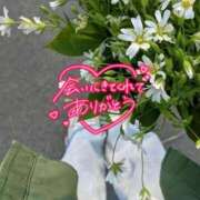 ヒメ日記 2025/11/01 09:38 投稿 佐藤ゆうか 五十路マダム　和歌山店