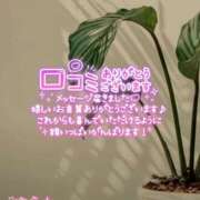 ヒメ日記 2025/11/25 07:44 投稿 佐藤ゆうか 五十路マダム　和歌山店
