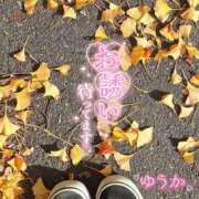 ヒメ日記 2025/11/25 14:44 投稿 佐藤ゆうか 五十路マダム　和歌山店