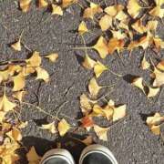 ヒメ日記 2025/12/15 15:22 投稿 佐藤ゆうか 五十路マダム　和歌山店