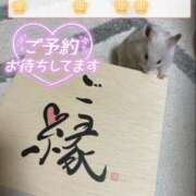 ヒメ日記 2025/12/26 11:56 投稿 佐藤ゆうか 五十路マダム　和歌山店