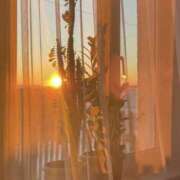 ヒメ日記 2026/01/07 17:22 投稿 佐藤ゆうか 五十路マダム　和歌山店