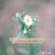 ヒメ日記 2026/01/09 09:22 投稿 佐藤ゆうか 五十路マダム　和歌山店