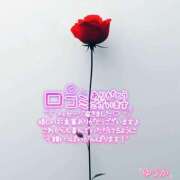 ヒメ日記 2026/03/24 19:52 投稿 佐藤ゆうか 五十路マダム　和歌山店