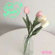 ヒメ日記 2026/03/31 09:20 投稿 佐藤ゆうか 五十路マダム　和歌山店