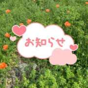 ヒメ日記 2026/04/27 11:38 投稿 佐藤ゆうか 五十路マダム　和歌山店