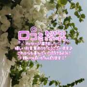 ヒメ日記 2026/08/06 08:32 投稿 佐藤ゆうか 五十路マダム　和歌山店