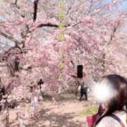 ヒメ日記 2025/04/08 13:19 投稿 ひなた 谷町人妻熟女奉仕倶楽部