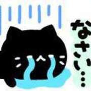 ヒメ日記 2025/08/04 15:40 投稿 ひなた 谷町人妻熟女奉仕倶楽部