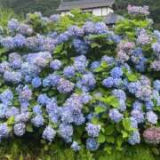 ヒメ日記 2025/04/27 09:12 投稿 あゆな クラブレア南大阪