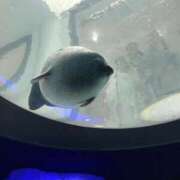 ヒメ日記 2025/04/28 17:48 投稿 あゆな クラブレア南大阪